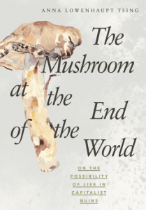 capture-decran-2016-09-19-10-22-49