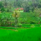 capture-decran-2016-12-12-a-11-18-42